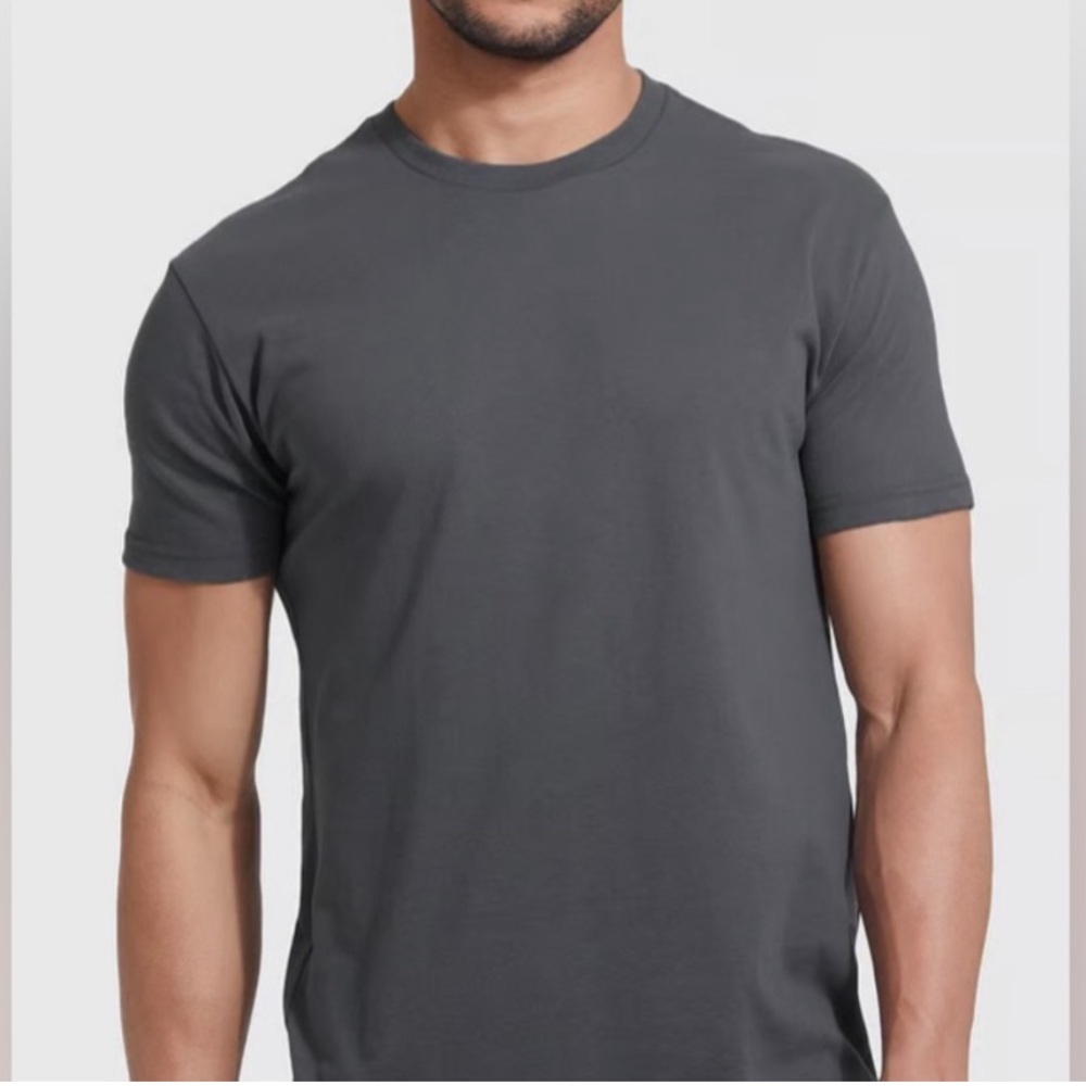 True Classic Crew Neck Tee in gray xl